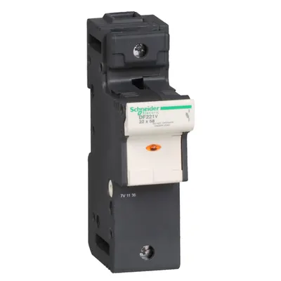 Tesys Deconector-Siguranta 1P 125A 22 X 58 Mm - Indicator Siguranta