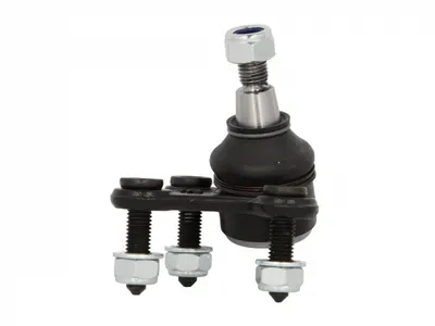 Pivot Axa Dreapta (fata) (diametru Con 15,4mm) Potrivit Audi A3, Q3; Seat Altea, Altea Xl, Leon, Leon Sportstourer, Toledo Iii; Skoda Octavia Ii, Octavia Iii, Scala, Superb Ii 1.0-3.6 09.02
