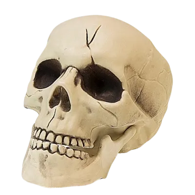 Cap schelet 21 cm