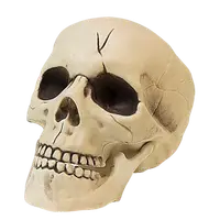 Cap schelet 21 cm