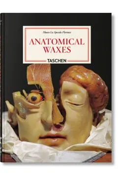 Anatomical Waxes. 45th Ed.
