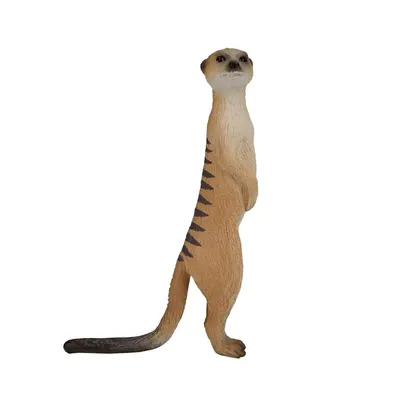 Figurină Mojo Animal Planet - Suricată
