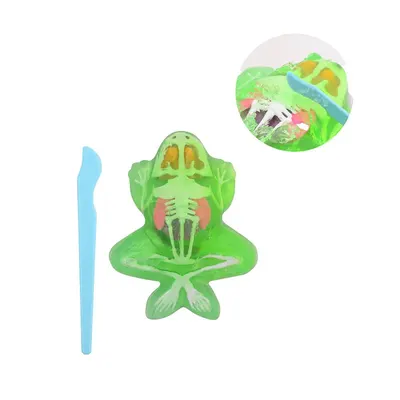 Set de joaca Disectie Broasca din slime