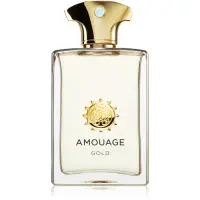 Amouage Gold Man Eau de Parfum pentru bărbați 100 ml