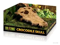 Exo Terra Decor Crocodile Skull PT2856