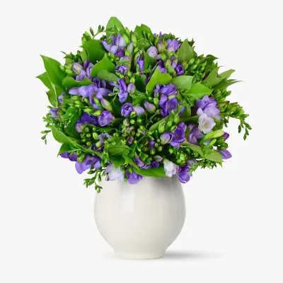 Buchet de 101 frezii mov