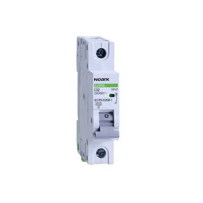 Mini-intreruptoare automate Ex9BS 2P D1