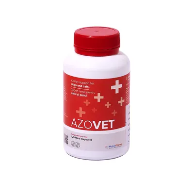 AZOVET 120 CAPSULE – Suport renal pentru câini și pisici