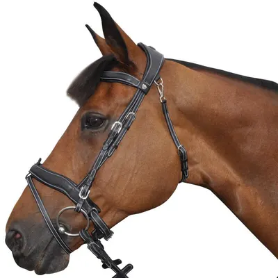 Bridon combinat Flags&Cup Comfort