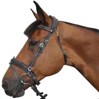 Bridon combinat Flags&Cup Comfort