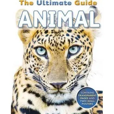 The Ultimate Guide