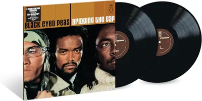 Bridging The Gap (Vinyl, 25th Anniversary)
