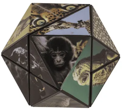 Cub magic cu formă schimbătoare Out of the Blue - Animale sălbatice