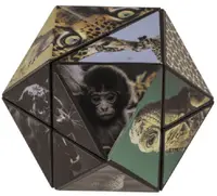 Cub magic cu formă schimbătoare Out of the Blue - Animale sălbatice