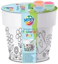 Set creativ Totum - Colorează-ți singur ghiveciul, flori