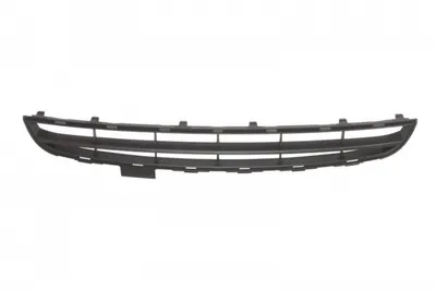 Grila bara fata CITROEN C2 dupa 2003