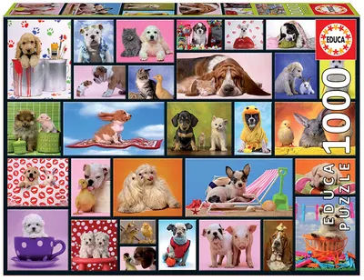 Puzzle cu 1000 de piese