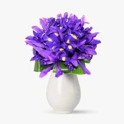 Buchet de 19 irisi mov