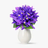 Buchet de 19 irisi mov
