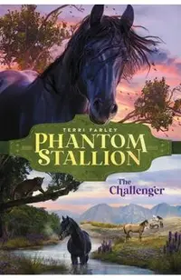 The Challenger