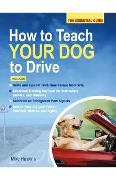 How to Teach Your Dog to Drive