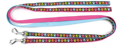 Lesa nylon, albastra, rezistenta, lungime 120 cm, pentru caini de talie mica, latime 1.9 cm