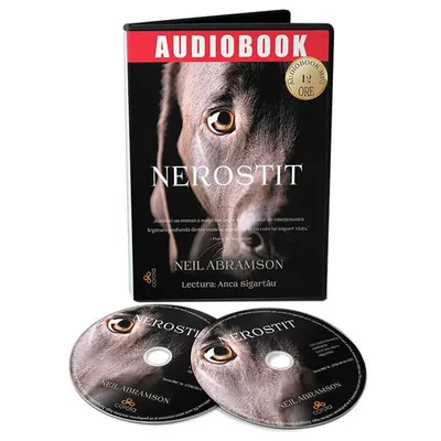 Nerostit (Audiobook) - Paperback - Neil Abramson