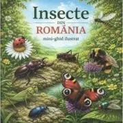 Insecte din Romania. Mini-ghid ilustrat
