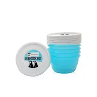 Set 5 containere pentru mancare 0.5 l Lorelli