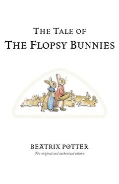 Tale of the Flopsy Bunnies