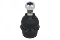 Articulatie sarcina ghidare Dreapta Stanga (inferior fata) (diametru con 17mm) potrivit MERCEDES C (W202), CLS (C219), E T-MODEL (S211), E (VF211), E (W210), E (W211), S (C215), S (W220) 1.8-6.3 03.93