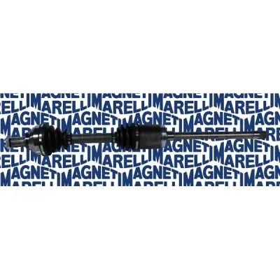 Planetara MAGNETI MARELLI 302004190026