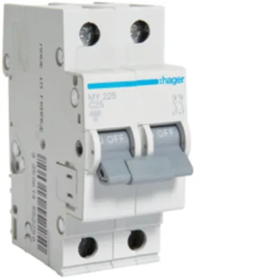 Disjunctor 2P, 25A, 4,5kA, C, 2M