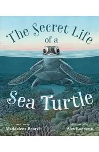 The Secret Life of a Sea Turtle