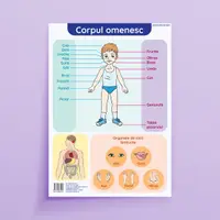 Corpul omenesc