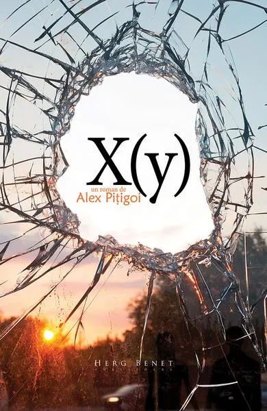 X (y) - Paperback brosat - Alex Pițigoi