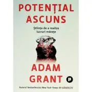 Potential ascuns. Stiinta de a realiza lucruri marete