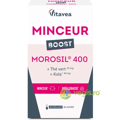 Minceur Boost Morosil 400 40cps vegetale