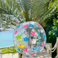 Minge gonflabila de plaja, diametru 40 cm Freds Swim Academy