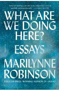 What Are We Doing Here?: Essays