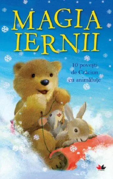 Magia iernii - Paperback brosat