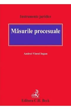 Masurile procesuale