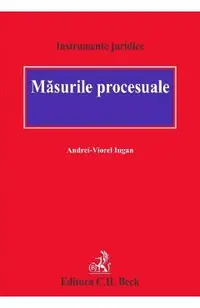 Masurile procesuale