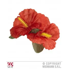 Clama hawaii rosie