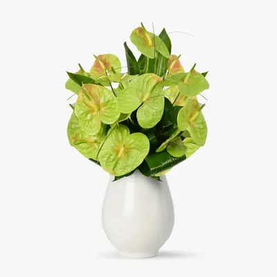Buchet de 11 anthurium verzi