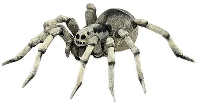 Figurina Papo Wild Animal Kingdom – Tarantula