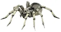 Figurina Papo Wild Animal Kingdom – Tarantula