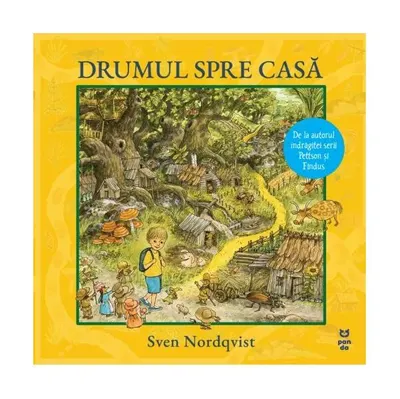 Drumul spre casă - Paperback brosat