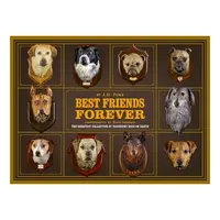 Best Friend Forever