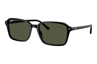 Ray-Ban Raimond RB2231 901/31